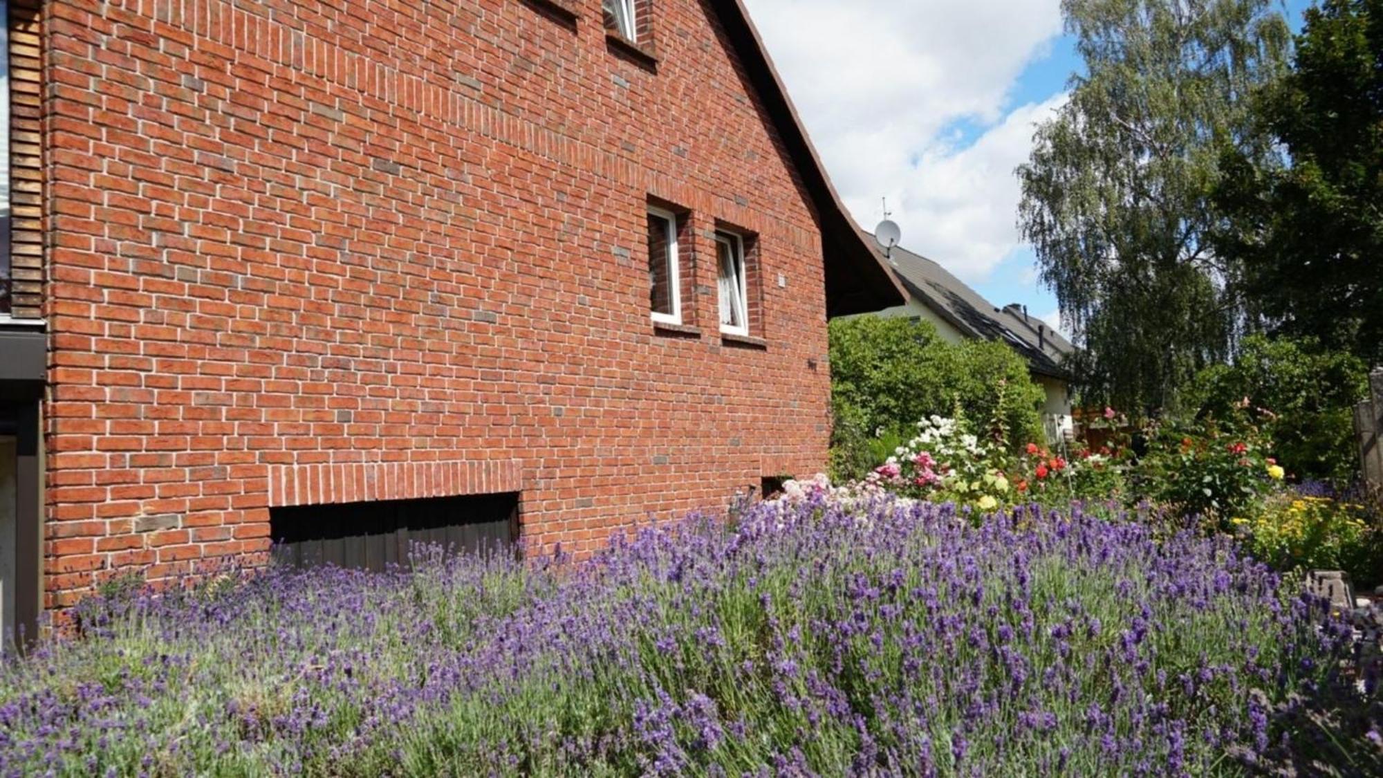 Pension Limone Ferienwohnung 1 Neu Lindenberg Exteriör bild